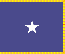 [Air Force Brigadier General flag]